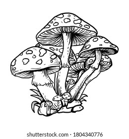 tattoo and t-shirt design black and white hand drawn mushroom  premium vector