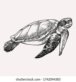 tattoo and tshirt design sea turtle black and white handdrawn premium vector