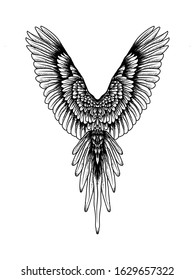 tattoo and tshirt design wing bird hand drawn premium vector