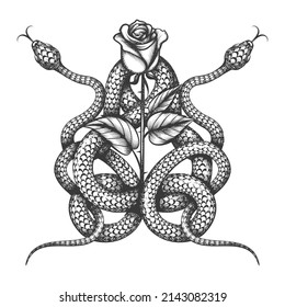 Tattoo of Two Snake and Rose Flower isolated on white. Vector illustration.