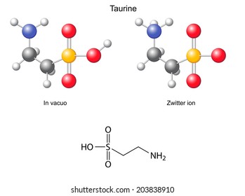 Taurine (tau) - chemical structural formula and models, amino acid, in vacuo, zwitterion, 2D and 3D illustration, balls and sticks, isolated on white background, vector, eps 8