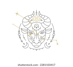 Taurus astrological symbol with Zodiac constellation, connected stars. Bull astrology horoscope sign and stars on white background thin line vector illustration