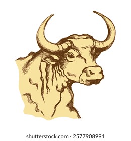 Taurus, bull, cow. Sketch, rough draft, engraving effect. Vector illustration