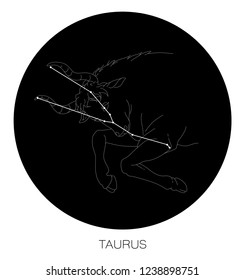 Taurus Constellation Vector