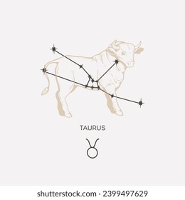 Taurus constellation vector illustration. Taurus constellation astrological drawing