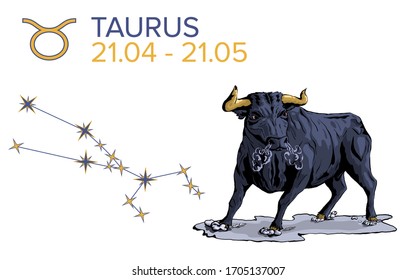 Taurus horoscope sign on a white background. An angry bull. A black animal. The months of April and may. Constellation of a metal bull. Rage and confidence. Zodiac sign of the earth.