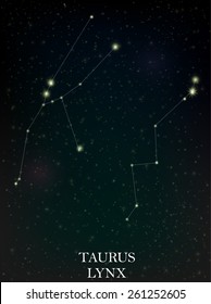 Taurus and Lynx constellation