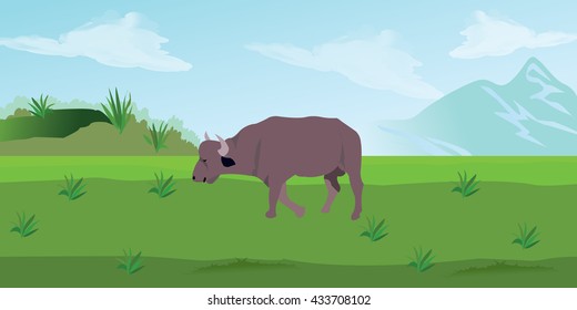 Taurus on the grass