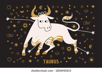 Taurus is a sign of the zodiac. Horoscope and astrology. Vector illustration in a flat style.