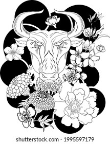 Taurus vector of Astrology design.horoscope circle with signs of zodiac set vector.signs such as a aries, taurus, gemini, cancer, leo, virgo, libra, scorpio, sagittarius, capricorn,aquarius,pisces.cow