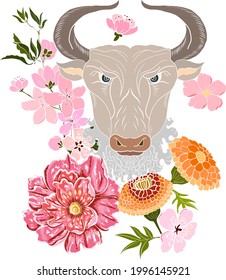 Taurus vector of Astrology design.horoscope circle with signs of zodiac set vector.signs such as a aries, taurus, gemini, cancer, leo, virgo, libra, scorpio, sagittarius, capricorn,aquarius,pisces.cow