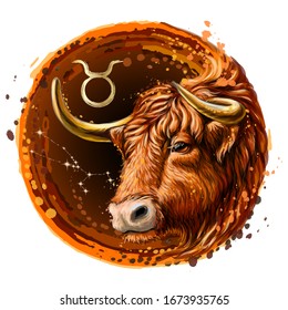 
El taauro es un signo del zodiaco. Imagen artística, coloreada, dibujada del zodiaco Taurus con un símbolo y una estrella en estilo acuarela sobre un fondo blanco.