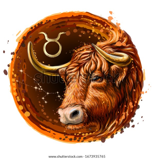 Taurus Zodiac Sign Artistic Color Drawn Stock Vector Royalty Free 1673935765 7070