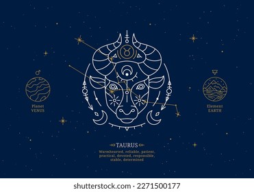 Taurus zodiac sign with description of personal features. Astrology horoscope card with zodiac constellation on dark blue sky thin line vector illustration