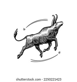 Taurus Zodiac sign. Modern magic Astrological symbol. Illustration of horoscope. Boho design for witchcraft card. Hand drawn Engraved old monochrome sketch.