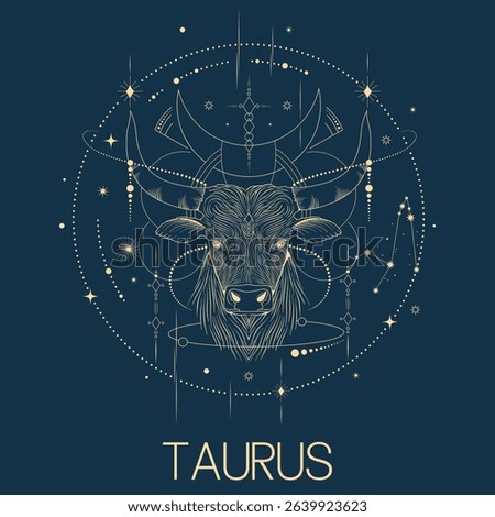 Taurus zodiac sign vector line drawn illustration, horoscope character, stars, constellation and celestial elements in line art style