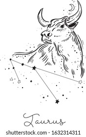 Taurus Zodiac Sign.Vector Illustration. Minimalism