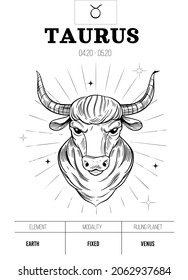 Taurus. Zodiac simbol. Astrology sign, bull vector outline illustratoin