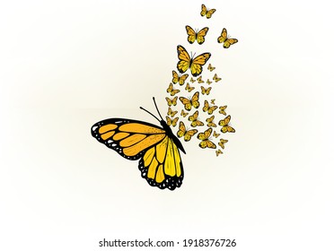 Tawny Orange Monarch Butterfly butterflies   daisies positive quote flower design margarita 
mariposa
stationery mug t shirt phone case fashion slogan  style spring summer sticker sunflower