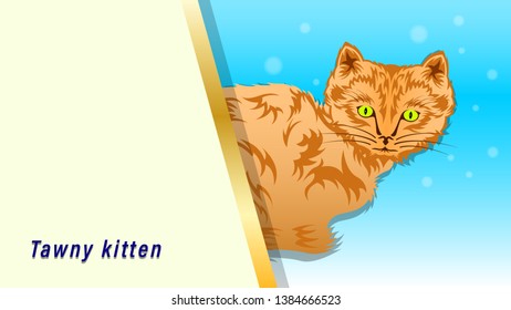 Tawny, Sandy Cat sit and stick out. Kitten with a tribal pattern coat, isolated on a white background, side view. Vector Illustration