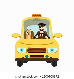 Taxi driver and dog on front seat. Vector illustration in flat style  on white background. Pet travel concept.