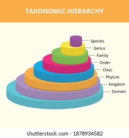 1,487 Taxonomic Images, Stock Photos & Vectors | Shutterstock