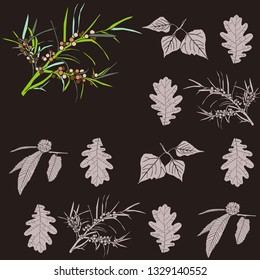 Taxus baccata background with different types of leaves