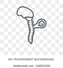 Tay-Sachs disease icon. Trendy flat vector Tay-Sachs disease icon on transparent background from Diseases collection. High quality filled Tay-Sachs disease symbol use for web and mobile