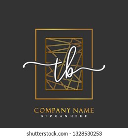 TB Initial Handwriting logo template vector