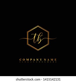 TB Initial luxury handwriting logo vector