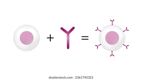 Célula T y receptor de antígenos quiméricos T, célula T CAR, para su uso en inmunoterapia. quimioterapia. ilustración vectorial.
