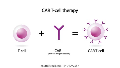 T-Cell y receptor de antígeno quimérico T, terapia celular CAR T, para uso en inmunoterapia. quimioterapia. ilustración vectorial.	