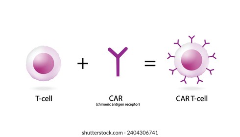 T-Cell y receptor de antígeno quimérico T, terapia celular CAR T, para uso en inmunoterapia. quimioterapia. ilustración vectorial.