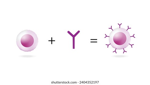 T-Cell y receptor de antígeno quimérico T, terapia celular CAR T, para uso en inmunoterapia. quimioterapia. ilustración vectorial.