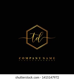 TD Initial luxury handwriting logo vector