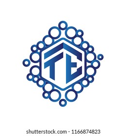 TE Initial letter hexagonal logo vector