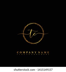 TE Initial luxury handwriting logo vector