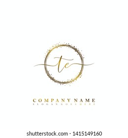 TE Initial luxury handwriting logo vector