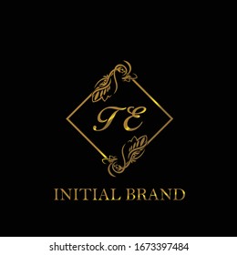 TE Initial wedding logo template vector	