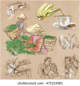 TEA. Agriculture. Life of a farmer. Tea harvesting and processing. Collection of an hand drawing illustrations. Pack of an hand drawn vector illustrations. Set of freehand sketches.