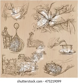 TEA. Agriculture. Life of a farmer. Tea harvesting and processing. Collection of an hand drawing illustrations. Pack of an hand drawn vector illustrations. Set of freehand sketches.