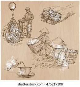 TEA. Agriculture. Life of a farmer. Tea harvesting and processing. Collection of an hand drawing illustrations. Pack of an hand drawn vector illustrations. Set of freehand sketches.