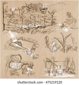 TEA. Agriculture. Life of a farmer. Tea harvesting and processing. Collection of an hand drawing illustrations. Pack of an hand drawn vector illustrations. Set of freehand sketches.