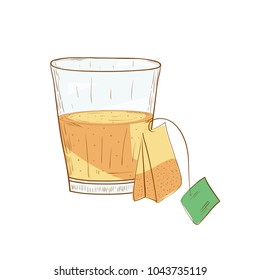 Tea bag. Glass. Sketch. On white background color pattern