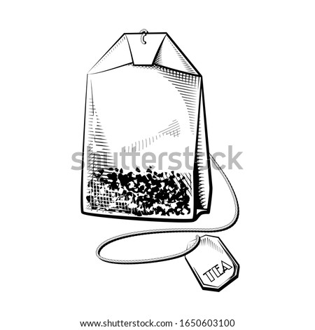 Tea bag sketch vector. Detailed teabag ink style illustration.