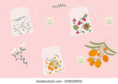 Tea bags with chamomile, strawberries and sea buckthorn. Vector illustration of tea. Berries and herbs