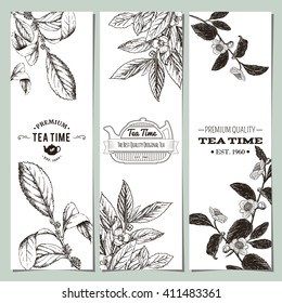 Tea banner collection. Vector illustration