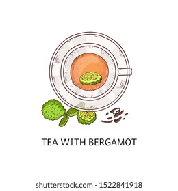 Tea with bergamot in glass cup - top view drawing. Healthy herbal leaf drink with cut up green citrus fruit and leaves, isolated hand drawn vector illustration