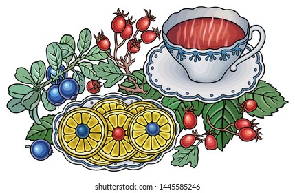 Tea, berries, fruits hand drawn vector doodles illustration. Nature and food elements and objects cartoon background.  