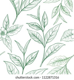 Tea branch seamless pattern. Tea leaves background for hot beverage menu design. Floral wallpaper